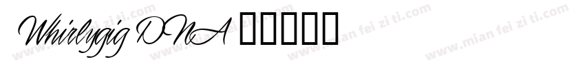 1 Whirlygig DNA字体转换